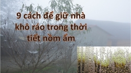 Lau dọn, bật quạt, mở cửa... là cách làm sai lầm khi nhà bị nồm, ẩm 'đổ mồ hôi'