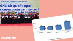 Sau rà soát, có 95 người không đạt tiêu chuẩn chức danh GS, PGS năm 2017