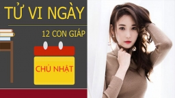 Tử vi 12 con giáp hôm nay (18/3/2018): Tử vi con nào có nhiều niềm vui?