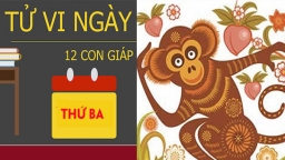 Tử vi 12 con giáp hôm nay (20/3/2018): Tử vi con giáp nào biến động nhất?