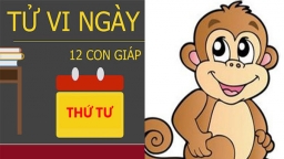 Tử vi 12 con giáp hôm nay (21/3/2018): Tử vi tuổi Thân đón nhận nhiều tin vui