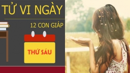 Tử vi 12 con giáp hôm nay 23/3/2018: Tử vi con giáp nào cần lưu ý?