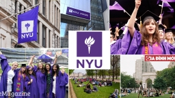 Tại sao học sinh Mỹ mơ ước vào Đại học New York hơn cả MIT?