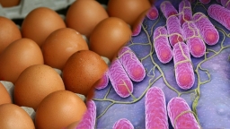 Mỹ : Quyết định thu hồi 207 triệu trứng gà vì lo ngại nhiễm khuẩn salmonella