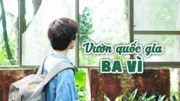 [Điểm đến cuối tuần] Vườn quốc gia Ba Vì: Hòa mình với thiên nhiên cùng gia đình