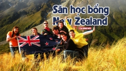 Bí quyết săn học bổng trường New Zealand ưng ý từ cựu du học sinh Việt