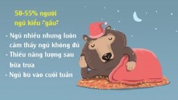 Tìm lịch làm việc hiệu quả nhất qua từng kiểu ngủ của bạn