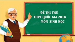 Đề thi thử THPT Quốc gia 2018 môn Sinh học có đáp án và lời giải chi tiết, chính xác nhất