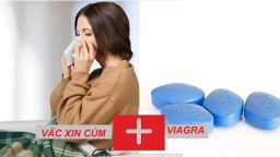 Canada thử nghiệm kết hợp Viagra và vắc-xin phòng cúm để điều trị ung thư