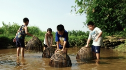 Thú vị hành trình một ngày làm nông dân ở Ba Vì cùng trẻ