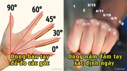 Những kiến thức thú vị trong cuộc sống bạn sẽ 'tiếc hùi hụi' nếu không biết sớm hơn