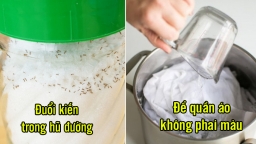 Khám phá những mẹo vặt 'nhỏ nhưng có võ' trong cuộc sống mà ít ai biết