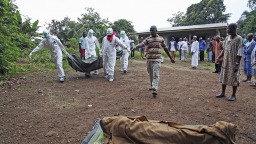 Bộ Y tế: Dịch bệnh nguy hiểm Ebola khó có thể vào Việt Nam