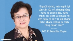 Sau vụ nữ bác sĩ thú y tử vong vì chó dại cắn: Chuyên gia đầu ngành về Phòng chống bệnh dại nói gì?