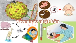 Bệnh viêm não Nhật Bản vào mùa: bác sĩ nhi khoa khuyến cáo đưa trẻ đi tiêm phòng