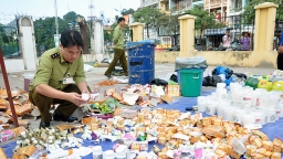 Thủ tướng chỉ thị tăng cường chống buôn lậu hàng dược phẩm, mỹ phẩm