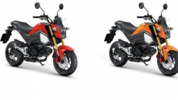 Honda MSX 125 ra mắt 4 màu mới, giá 49,99 triệu đồng