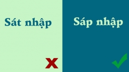 9 cặp từ dễ gây nhầm lẫn trong tiếng Việt, nếu đúng hết bạn thật là 'cao thủ'