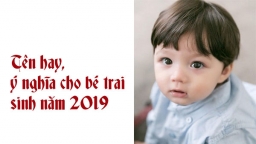 Tổng hợp những tên hay và ý nghĩa cho bé trai sinh năm Kỷ Hợi 2019