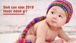 Sinh con năm 2019 thuộc mệnh gì, có hợp với bố mẹ không?