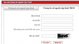 Cách đăng ký và tra cứu mã số thuế cá nhân 2018 qua mạng đơn giản nhất