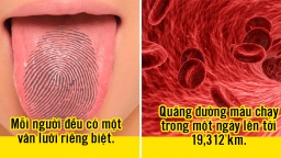 21 sự thật thú vị về cơ thể người mà bạn chưa biết, mỗi người đều có một vân lưỡi riêng biệt