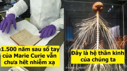 11 sự thật thú vị về thế giới, 1.500 năm sau sổ tay của Marie Curie vẫn chưa hết nhiễm xạ