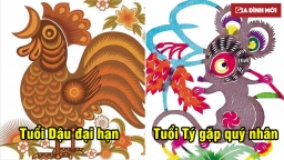 Tử vi 12 con giáp tháng cô hồn: 4 con giáp này gặp đại hạn cần cẩn trọng