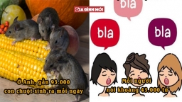 Ngỡ ngàng với 26 điều kỳ lạ xảy ra trên thế giới mỗi ngày trôi qua, bạn biết bao nhiêu?