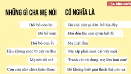 13 sự thật bất thành văn được minh họa siêu hài hước, 100% trực thăng làm điều này trong phim ảnh