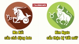 Tử vi cá nhân hàng ngày 25/8: Ma Kết cần chủ động hơn, Kim Ngưu cẩn thận bị 'dắt mũi'