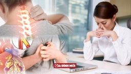 Điều gì xảy ra với cơ thể nếu bạn ngồi một chỗ 8 tiếng mỗi ngày?