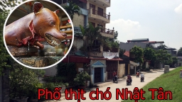 Hà Nội: ‘Phố thịt chó' Nhật Tân bỗng dưng... biến mất