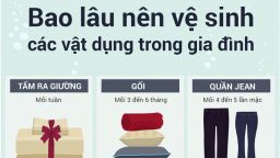 [infographic] Bao lâu nên vệ sinh vật dụng trong nhà một lần?