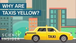 Tại sao xe taxi thường có màu vàng?