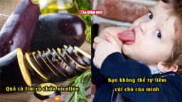 Những điều khó tin nhất nhưng hoàn toàn là sự thật, bạn có đang cố làm điều thứ 2?