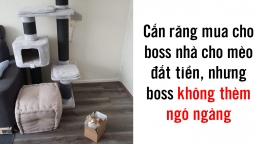 14 người bị thần may mắn lãng quên, đúng là đời không phải lúc nào cũng như mơ