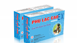 Giảm đau bụng kinh do lạc nội mạc tử cung, giảm nguy cơ vô sinh nhờ sản phẩm Phụ Lạc Cao