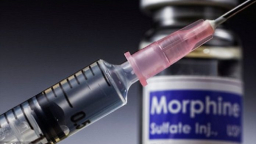 Thuốc giảm đau của tương lai mạnh gấp 6 lần Morphine truyền thống