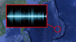 Rợn người với âm thanh bí ẩn thu được từ rãnh đại dương sâu nhất thế giới Mariana