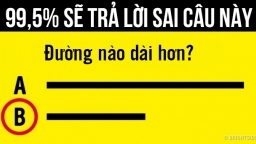 5 câu đố vui thử độ 'trẻ trung' của bộ não, dưới 5 giây bạn có bộ não của trẻ lên 3