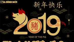 Những câu chúc Tết bằng tiếng Trung cực độc đáo, ý nghĩa cho năm Kỷ Hợi 2019