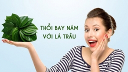 Trị nám sau sinh tại nhà đơn giản, hiệu quả chỉ với một nắm lá trầu không