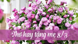 Những bài thơ 8/3 tặng mẹ hay và xúc động nhất