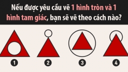 Trắc nghiệm: Nếu được yêu cầu vẽ 1 hình tròn và 1 hình tam giác, bạn sẽ vẽ theo cách nào?