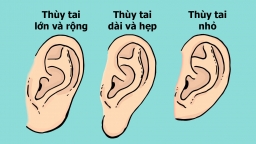 Nhân tướng học: Hình dáng thùy tai nói lên điều gì về cách yêu của bạn?