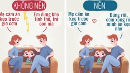 10 nguyên tắc dạy con nên người mọi cha mẹ cần biết