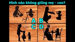 Trắc nghiệm tâm lý: Bạn là người có EQ hay IQ cao?