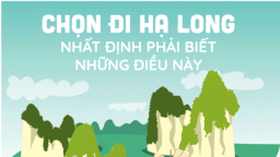 Hạ Long: Ăn gì, chơi gì, ở đâu?