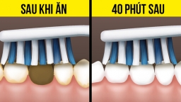 8 mẹo vặt sức khỏe hữu ích cho cuộc sống mỗi ngày, ai không biết thì quá phí